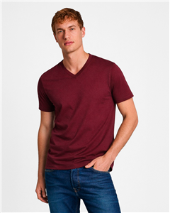 3192 - Remera cuello en v AERO Premium